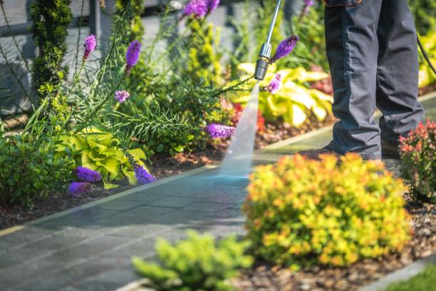 Best Fence Cleaning and Maintenance in Keller, TX